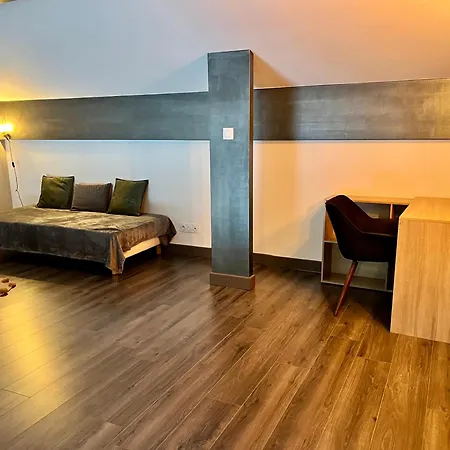 Loft 174m2, Terrasse, Garages Prive/ Proche Valence